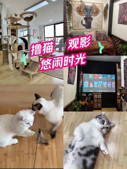 大宁电影院观影指南 | 上海大宁电影院最新排片 | 大宁国际商业广场电影院