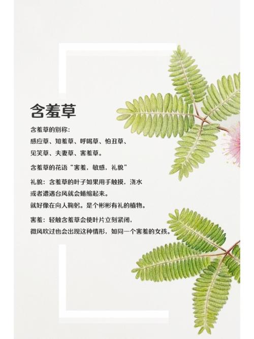 爱慕影院在线观看_2025最新全网高清影视资源_爱慕影院App下载安装