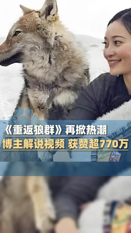 日本高端美容按摩 | 伦理合规·日式手法·韩式肌肤管理 长尾关键词：日韩美女伦理按摩、日式深层筋膜放松、韩式美白焕肤护理
