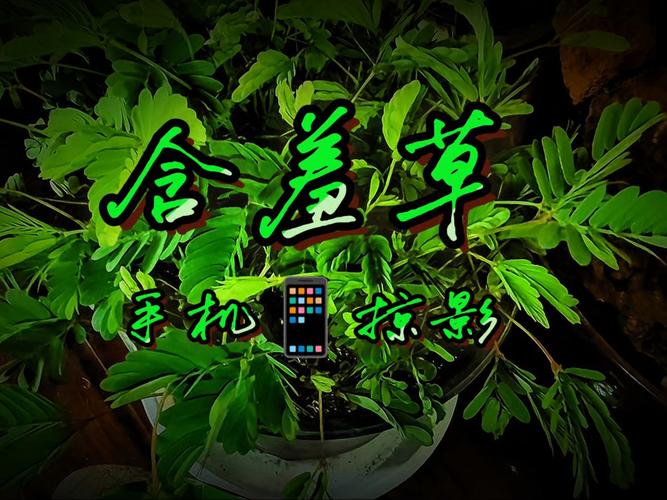 北京电影院观影指南 | 最新排片表 | 优惠购票攻略 | 周边推荐