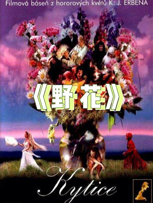 伊人大香蕉影院 - 在线高清观影指南与最新资源推荐