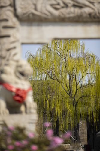 很很鲁在线视频播放影院的相关介绍