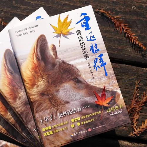 ABC影院 - 在线观看最新热门电影电视剧，高清画质无广告体验