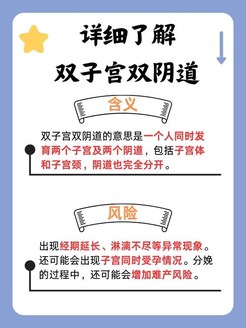 双性宫口高h：探索身体奥秘与性健康指南 | 双性人护理 | 宫口高度检测