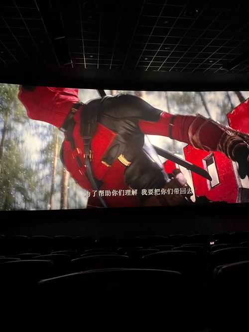 飞禽走兽电影院 | 特色主题影院体验 怀旧放映厅打卡 小众文艺电影推荐