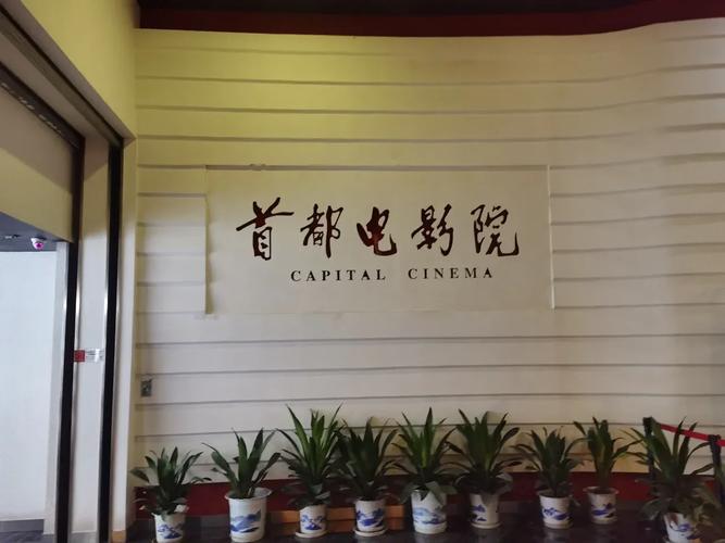 电影院抢座位攻略：如何快速选到最佳观影位置，避开高峰人流