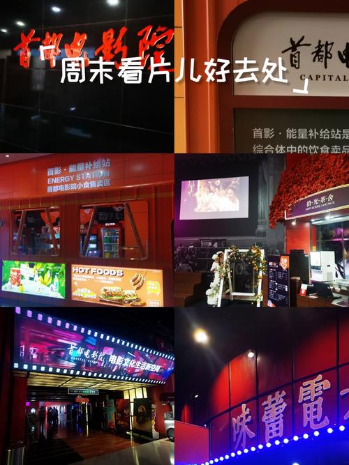 老湿影院视费x看免百：解锁免费观影新姿势，畅享高清影视资源与VIP特权