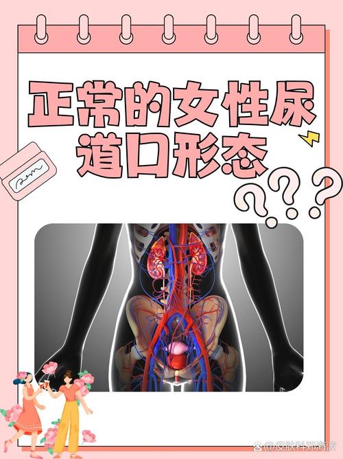 亚洲大尺度美女图的相关介绍